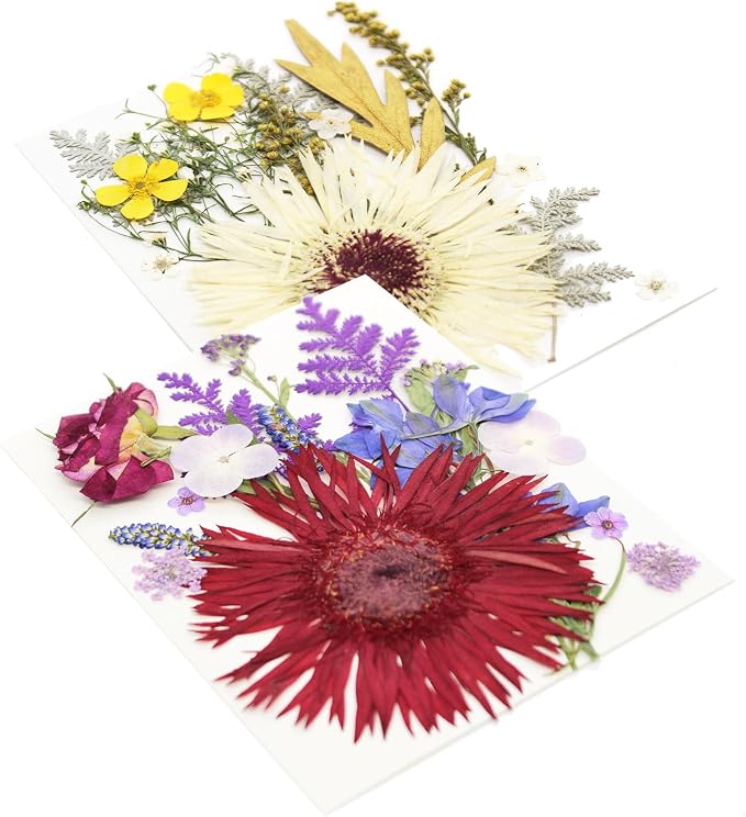 17 Types 30PCS Real Dried Pressed Flowers Bulk Dried Flower - Image 4