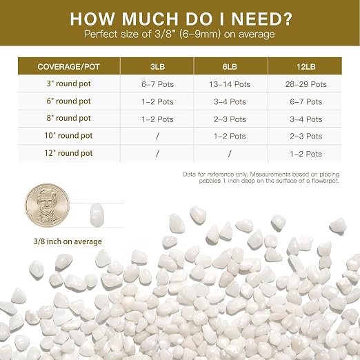 NUPICK 6 lbs Pebbles for Indoor Plants, 3/8 Inch Pea Gravel for Fish Tank - Image 6