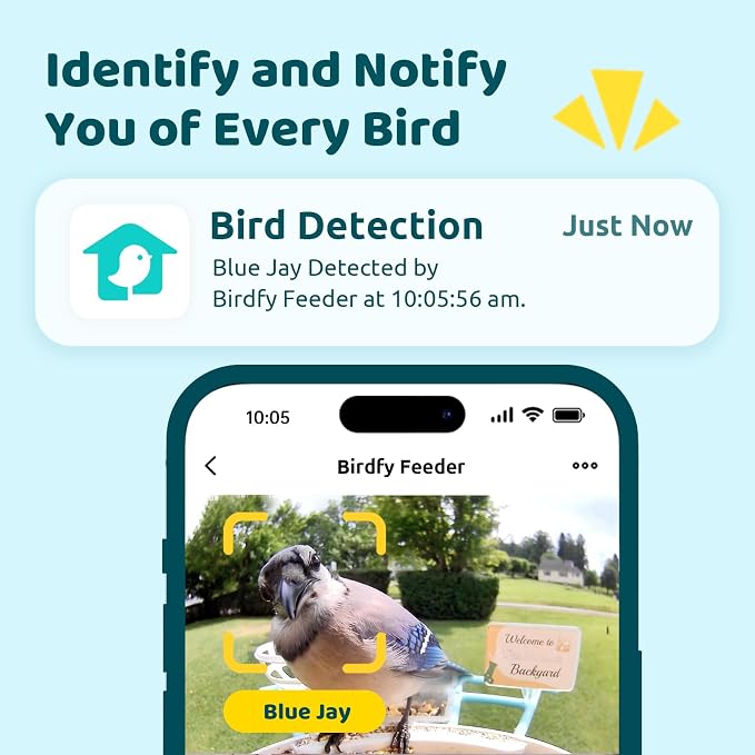NETVUE by Birdfy Smart Bird Feeder - Image 2