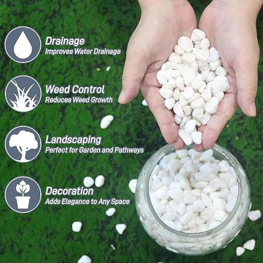 Mulctun 12Lb White Rocks for Plants, 1/4"-3/4" White Pebbles, Decorative Stones - Image 2