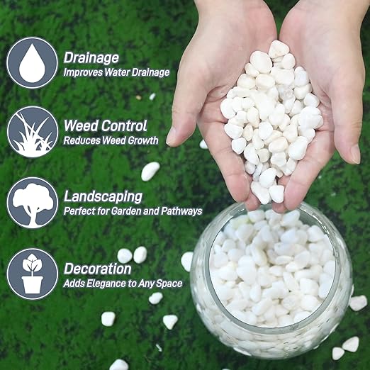 Mulctun 6Lb White Rocks for Plants, 1/4"-3/4" White Pebbles, Decorative Stones - Image 2