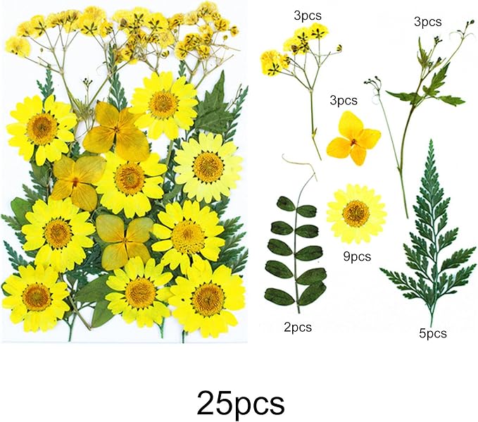 Woohome 110PCS Real Pressed Flowers, Dried Pressed Flowers Colorful Real - Image 3
