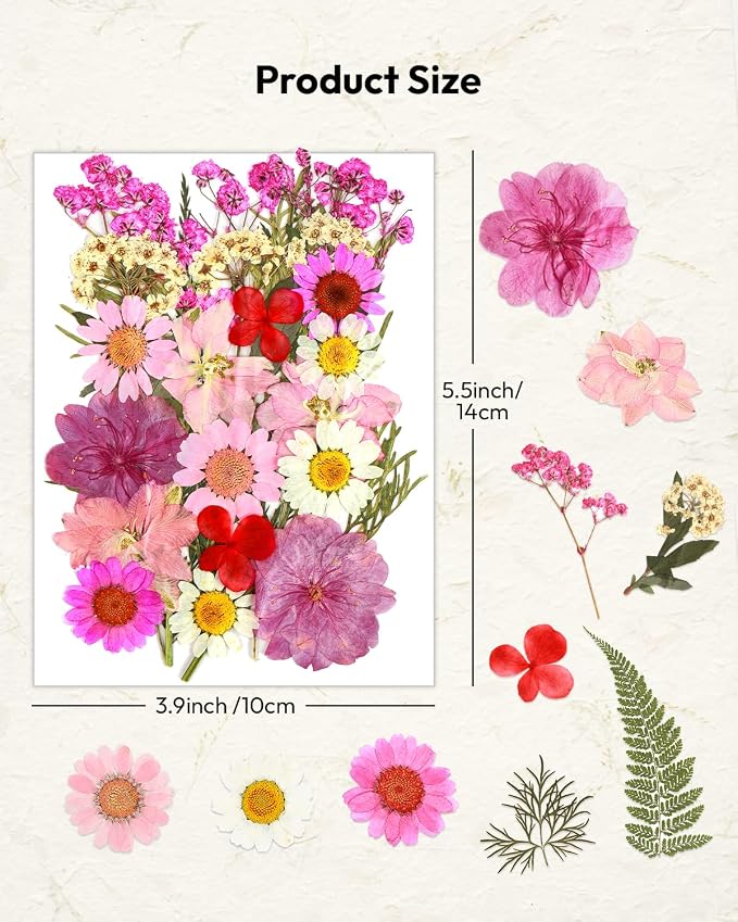 Dried Flowers, Resiners 100Pcs Pressed Flowers - Image 5
