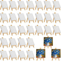Mimorou 32 Pack Mini Canvas by Mimorou