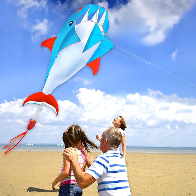 HENGDA KITE 3D Kite for Kids and Adults, Excellent Fabric and Structure - Image 6