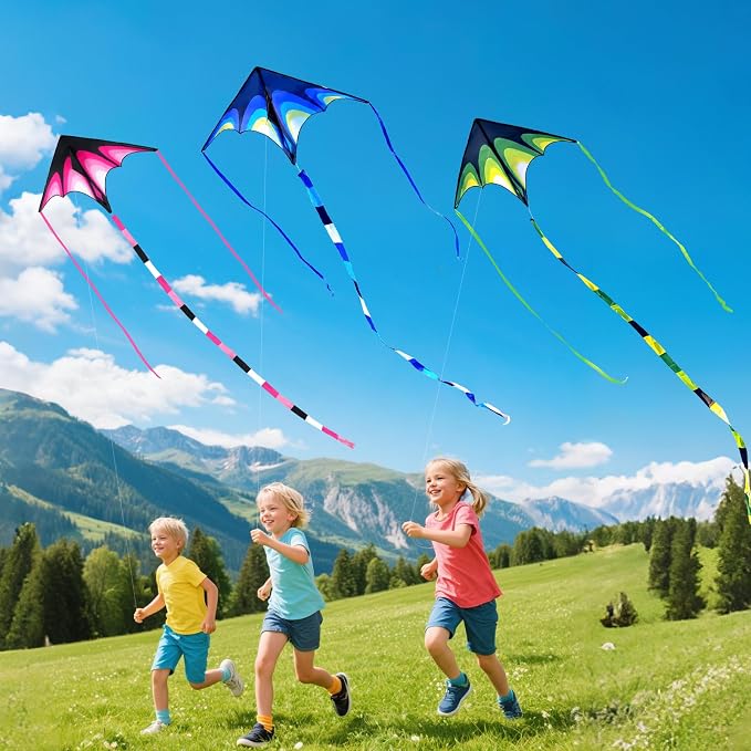 SGftre Delta Kite Easy to Fly, Single Line String - Image 2