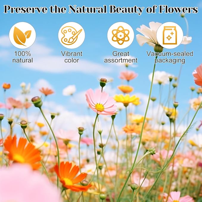 318 PCS Pressed Flowers Butterfly Stickers - Image 7