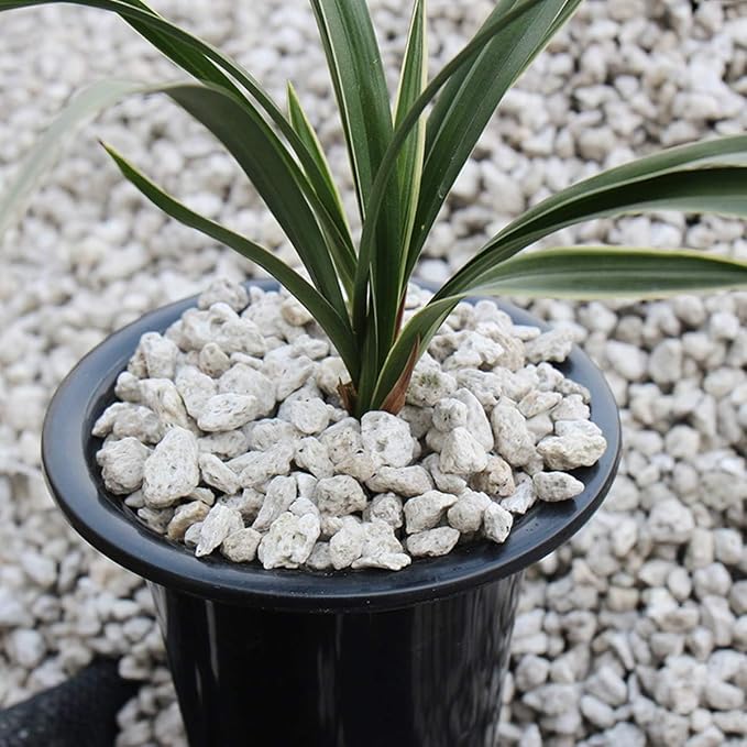 TOYPOPOR Horticultural Bonsai Pumice Succulent Cactus Plants Garden Turface - Image 5