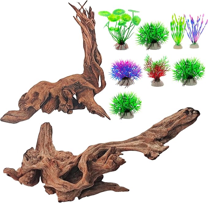 Natural Driftwood Decor for Aquarium Decorations Reptile Tank Accessories by FUNOJOY