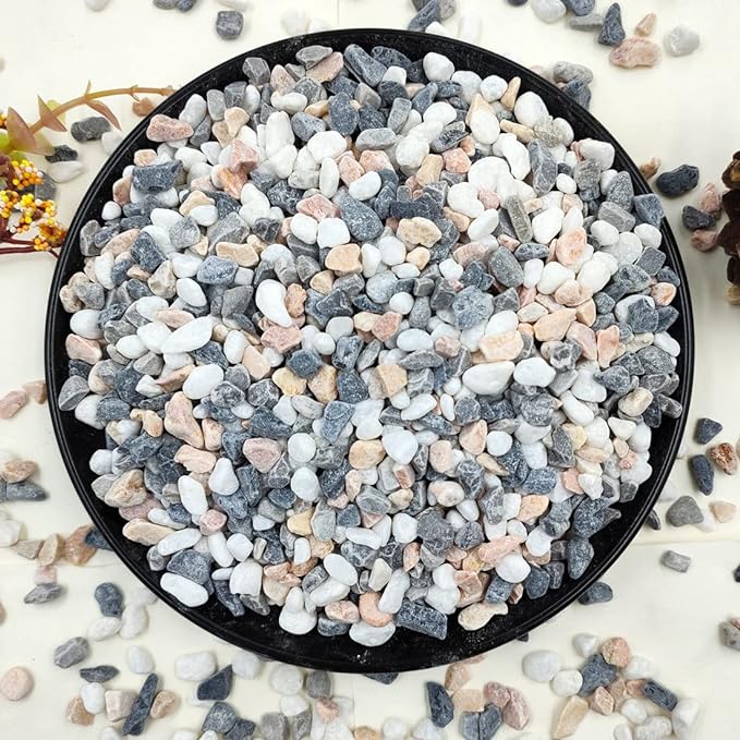 YISZM 2LB Succulent and Cactus Gravel Pebbles, 1/5 Inch Natural Decorative by YISZM-ForYourNaturalLife
