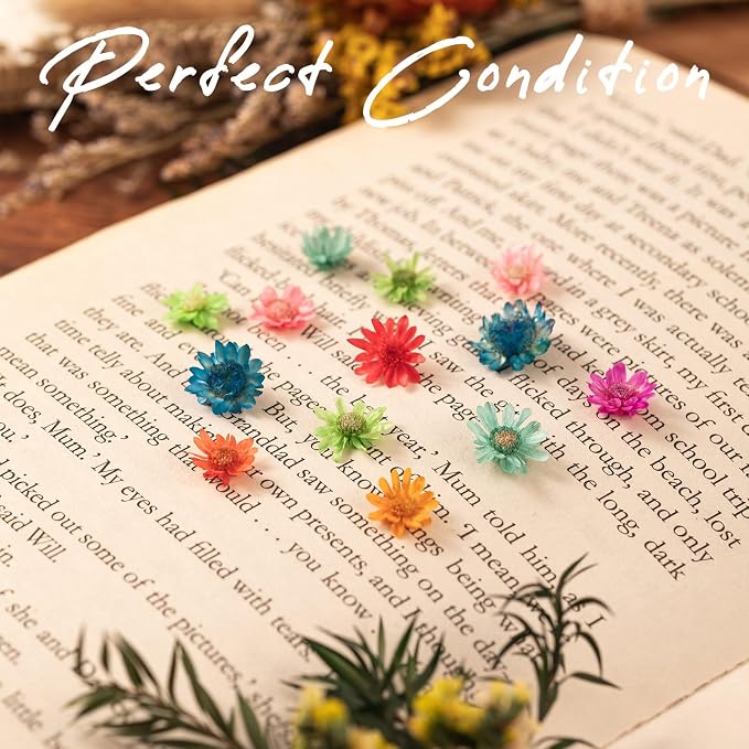 1150 PCS Small Dried Flowers for Crafts - Image 7