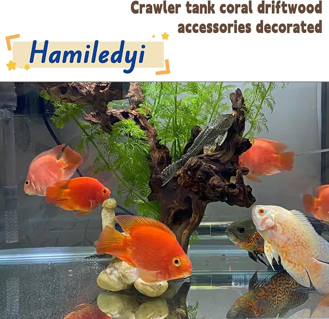 Hamiledyi Aquarium Driftwood 3PCS Natural Trunk Driftwood Assorted Branches - Image 3