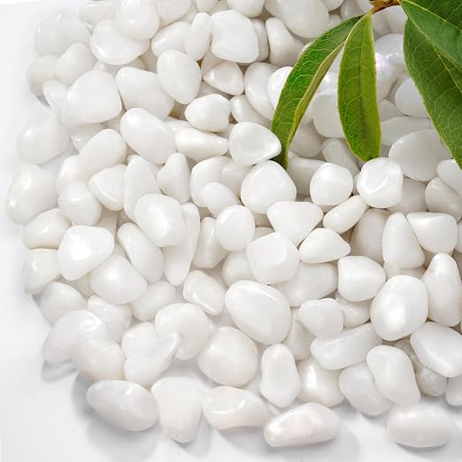 5 lb Natural Polished White Pebbles, 1/2 Inch Decorative White Rocks by RUOJAS