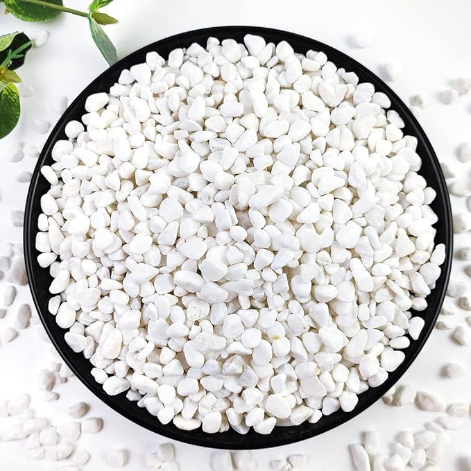 YISZM 10LB Succulent and Cactus Gravel, 1/5 Inch White Natural Decorative by YISZM-ForYourNaturalLife