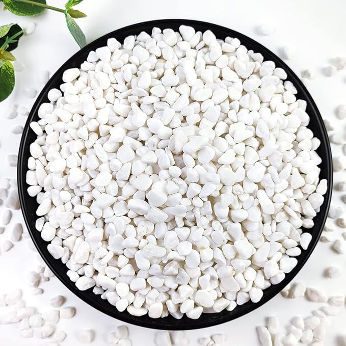 YISZM 2LB Succulent and Cactus Gravel Pebbles, 1/5 Inch White Natural by YISZM-ForYourNaturalLife