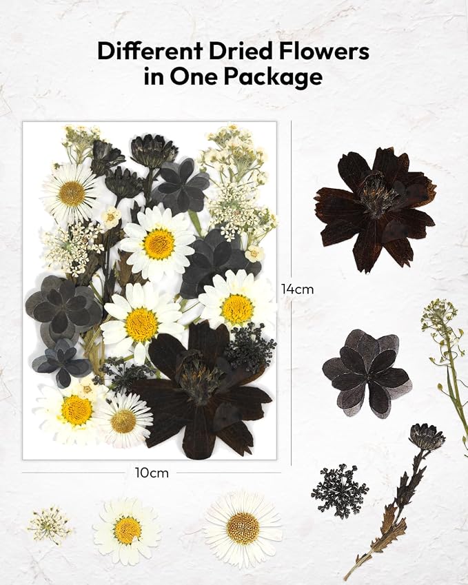 Dried Flowers, Resiners 100Pcs Pressed Flowers - Image 5