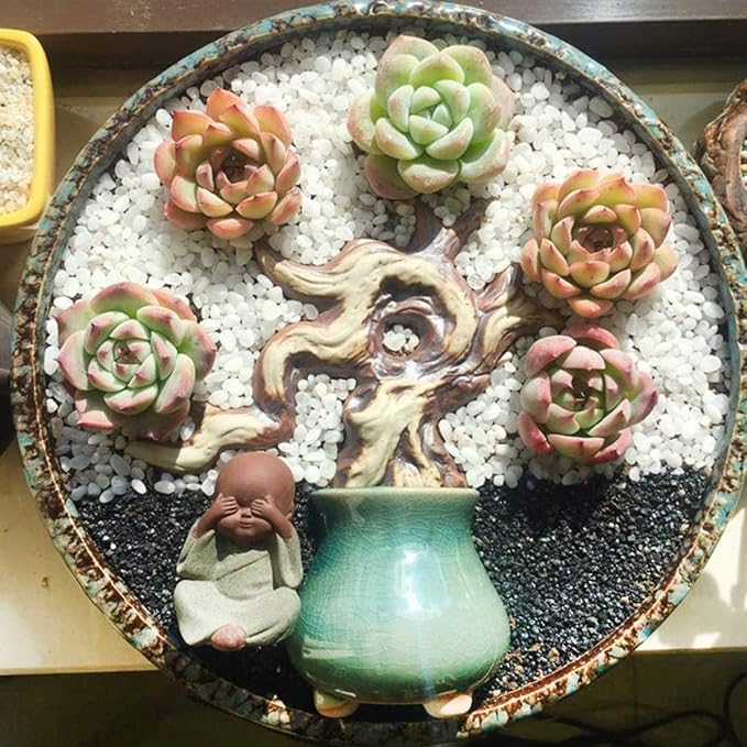 TOYPOPOR Mini White Rocks Stone Decorative Pebbles Vase Fillers Succulents - Image 5