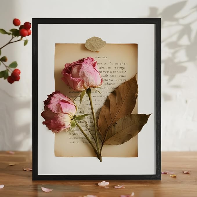 11×14 Shadow Box Frame Display Case - Image 5