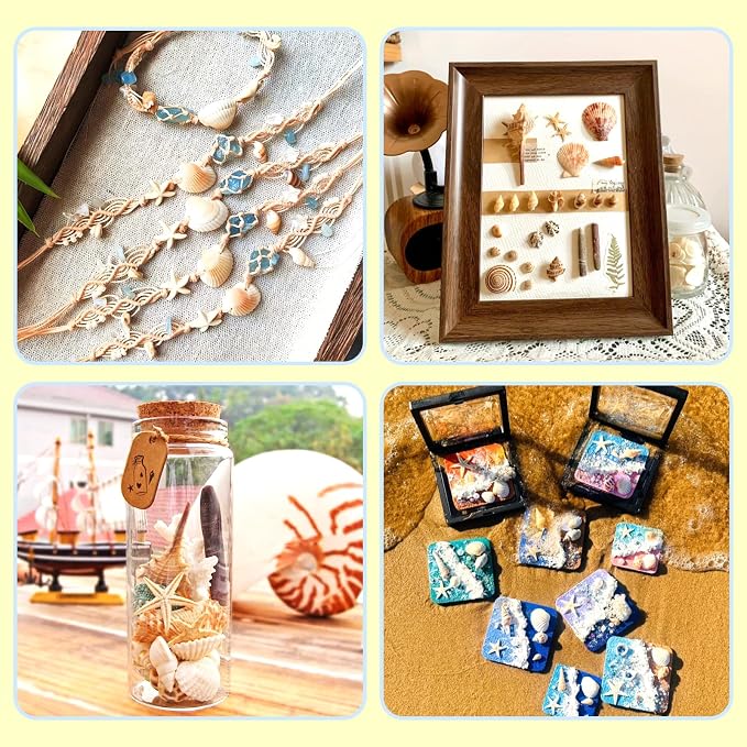 WEOXPR 2000 Pcs Tiny Sea Shells & Starfish - Image 4