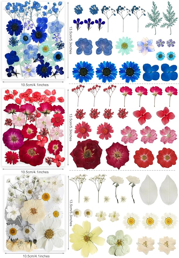 Bulk 410Pcs 11 Packs Mixed Real Natural Dried Pressed Flowers, Leaves & - Image 5