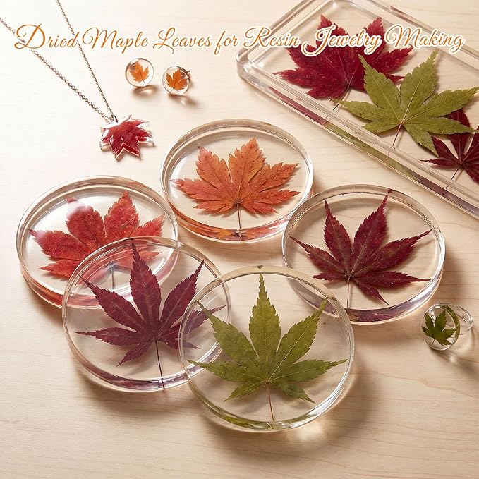48 Pcs Dried Pressed Fall Maple Leaf - Image 6