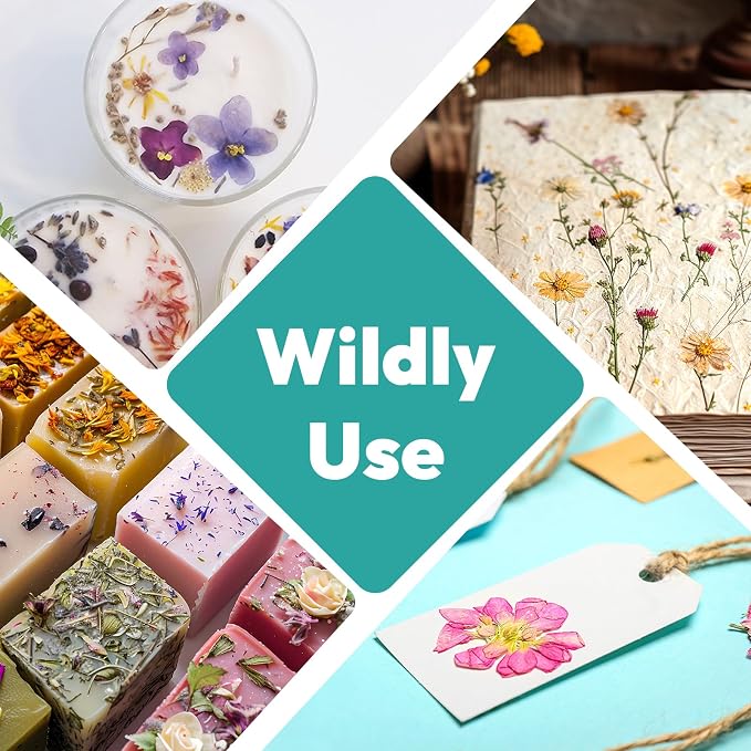 Dried Flowers, Resiners 58Pcs Pressed Flowers - Image 7