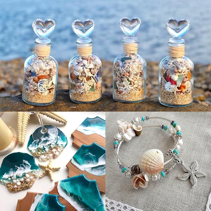 Tiny Sea Shells & 6 Starfish Decor Mixed Ocean Beach Spiral Seashells - Image 7