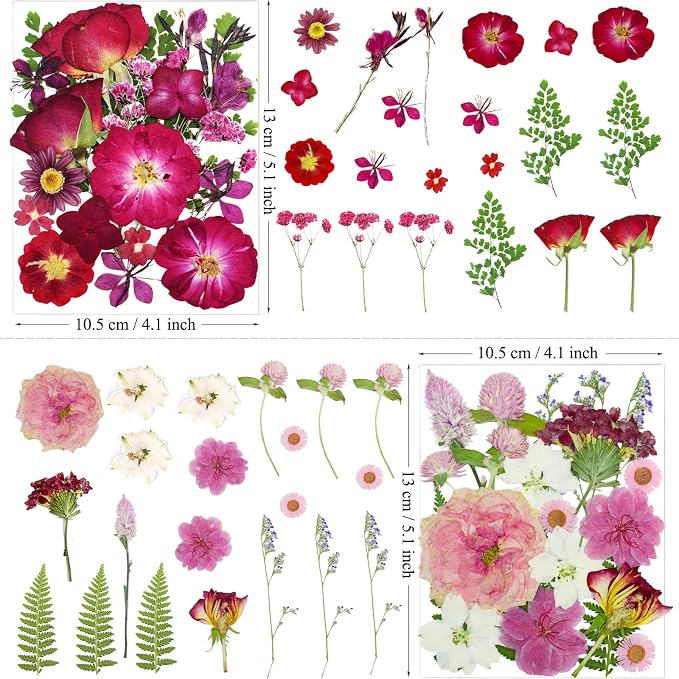 MIKIYA 86Pcs Dried Pressed Flowers - Image 6