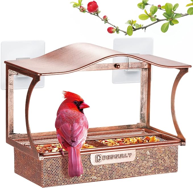 Window Bird Feeder, Metal - by DesGully