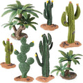 EOIVSH Desert Diorama Supplies by EOIVSH