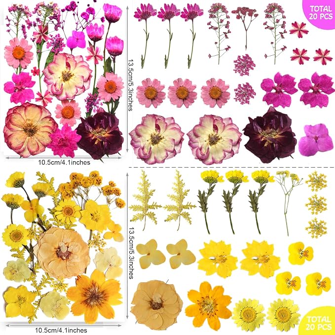 301Pcs Multi-Style Dried Pressed Flowers & Leaves - Image 5