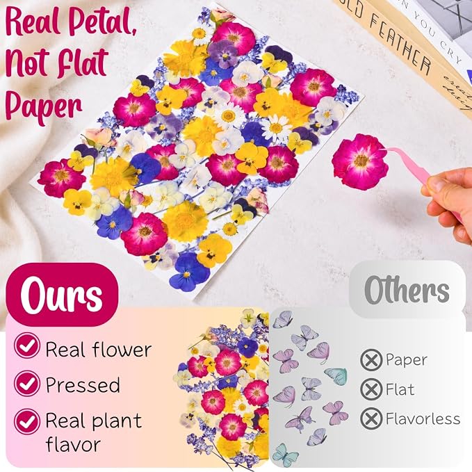 70 Pcs 11kinds Edible Dried Pressed Flowers - Image 6