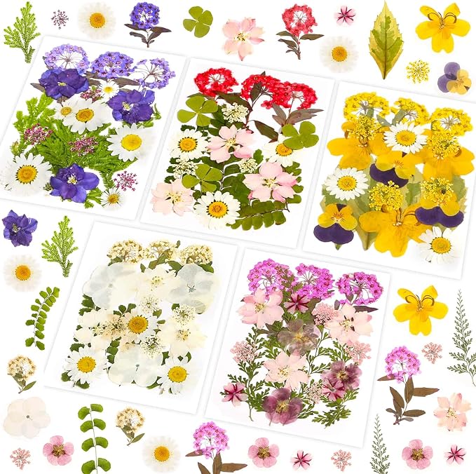 100 Pcs Dried Pressed Flowers Leaves by Evatage