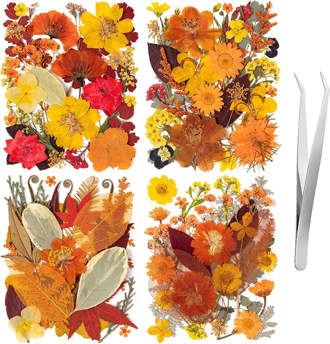 140 Pcs Fall Dried Pressed Flowers by LGFMGWH
