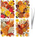 140 Pcs Fall Dried Pressed Flowers by LGFMGWH