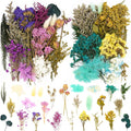 Vignee Real Dried Pressed Leaf Flowers-Multiple Colorful Pressed Flowers Daisies by Vignee