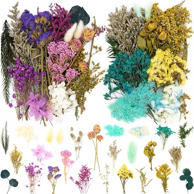 Vignee Real Dried Pressed Leaf Flowers-Multiple Colorful Pressed Flowers Daisies by Vignee