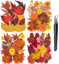 78 Pcs Fall Dried Pressed Flowers by LGFMGWH