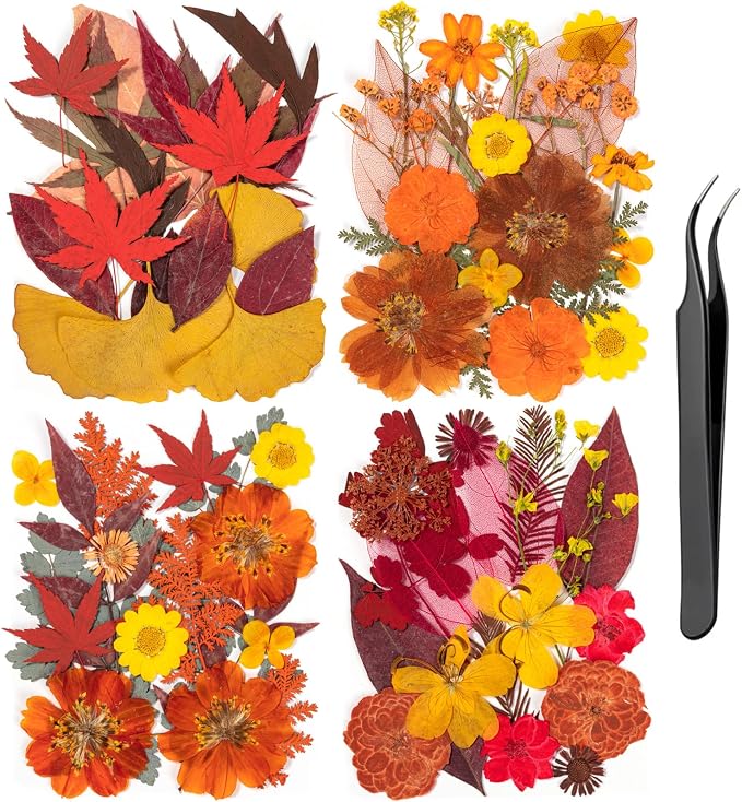 78 Pcs Fall Dried Pressed Flowers by LGFMGWH
