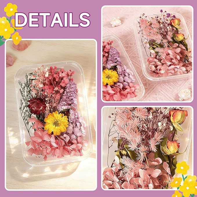 2PCS Dried Flowers Kit, Natural Dried Flowers Kit - Image 5