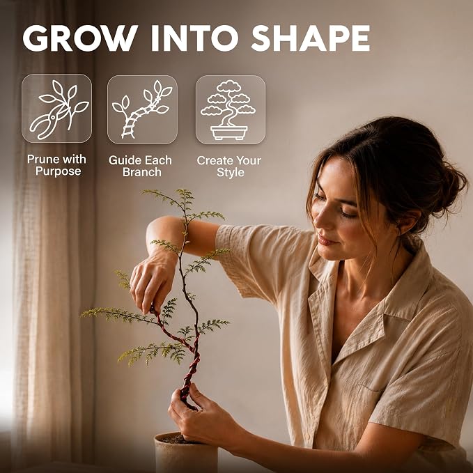 Bonsai Tree Kit Deluxe - Image 8