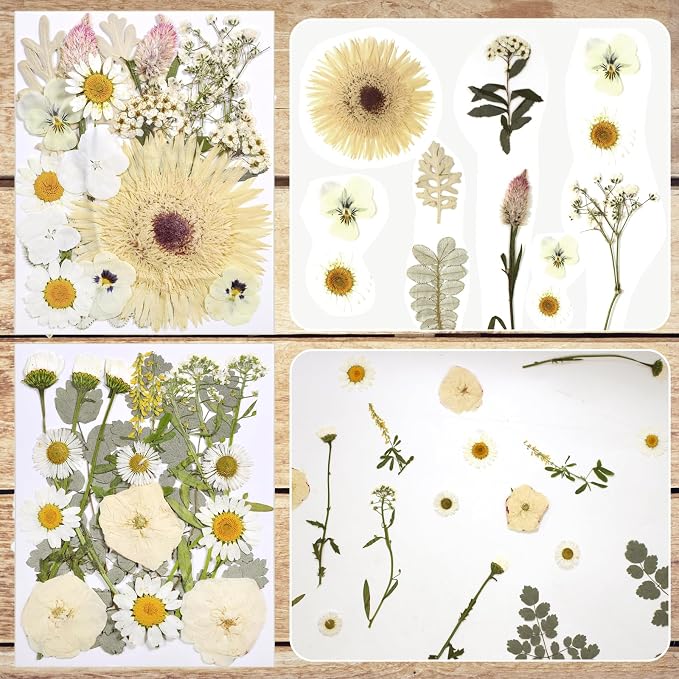 Dried Flowers for Resin | Vacuum Packed DIY Pressed Flowers for Epoxy, Nail - Image 3
