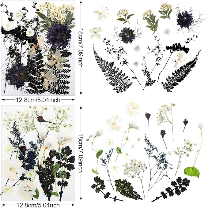 Nuanchu Black White Dried Pressed Flowers - Image 3
