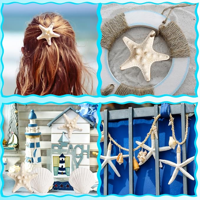 16 Pieces Starfish and Scallop Shells - Image 6