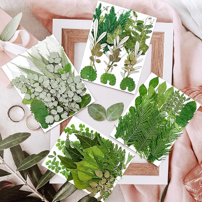 MIKIYA 84Pcs Pressed Dried Leaves - Image 3