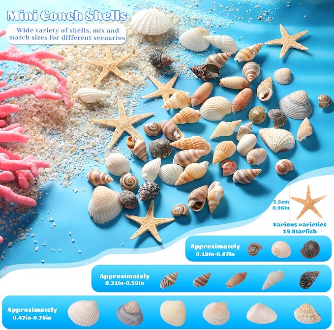 1200 Pcs Tiny Sea Shells, Seashells - Image 3