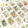 NESCCI 247 Pcs Dried Flowers for Crafts, Real Natural Dried Pressed Flowers in by NESCCI