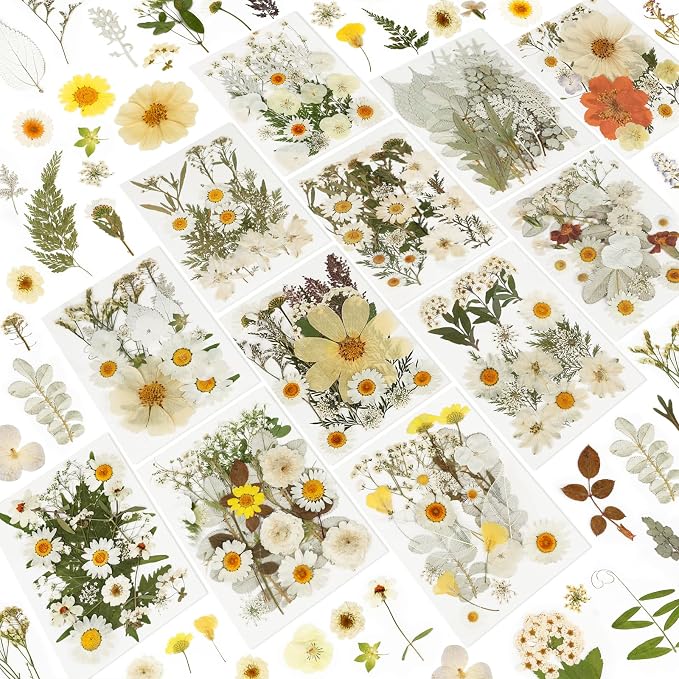 NESCCI 247 Pcs Dried Flowers for Crafts, Real Natural Dried Pressed Flowers in by NESCCI