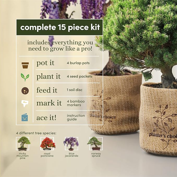 Planter's Choice Bonsai Tree Kit - Image 3