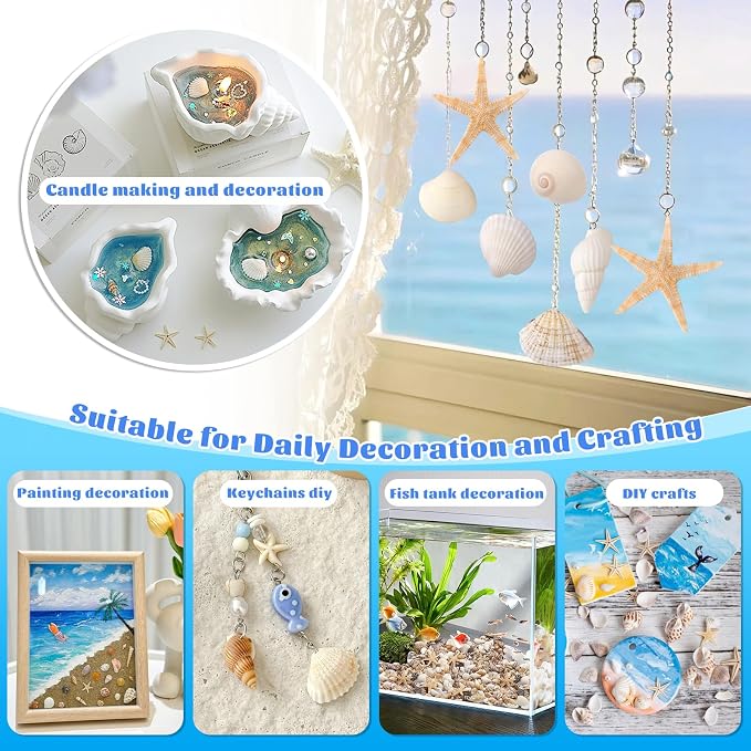 1200 Pcs Tiny Sea Shells, Seashells - Image 6